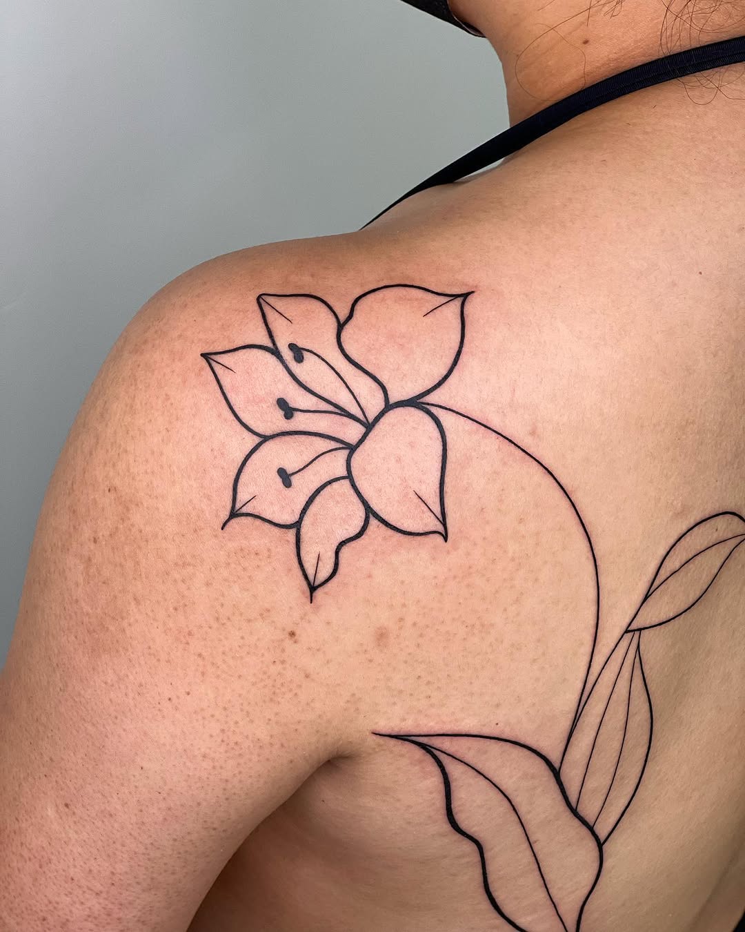 Flower, Nature