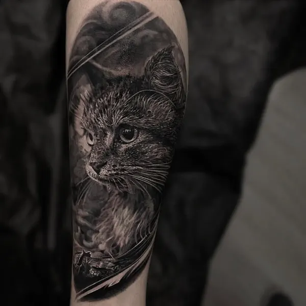 Animal