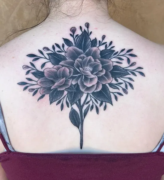 Flower, Rose, Nature