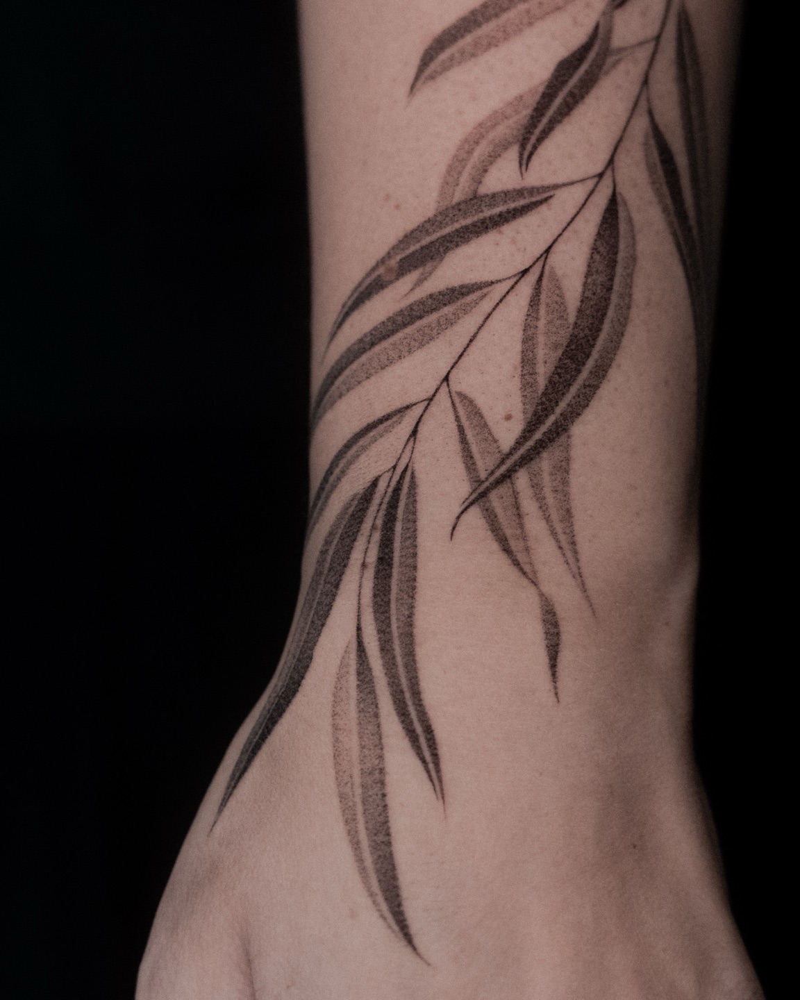 Flower, 대나무, 풀, 잎, 단풍잎
