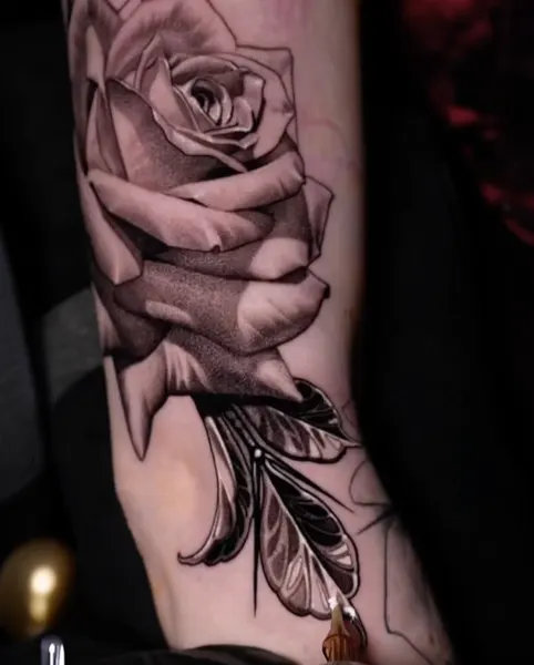 Flower, Rose