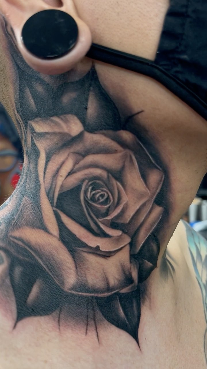 Flower, Rose, Nature