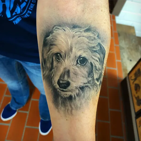 Animal