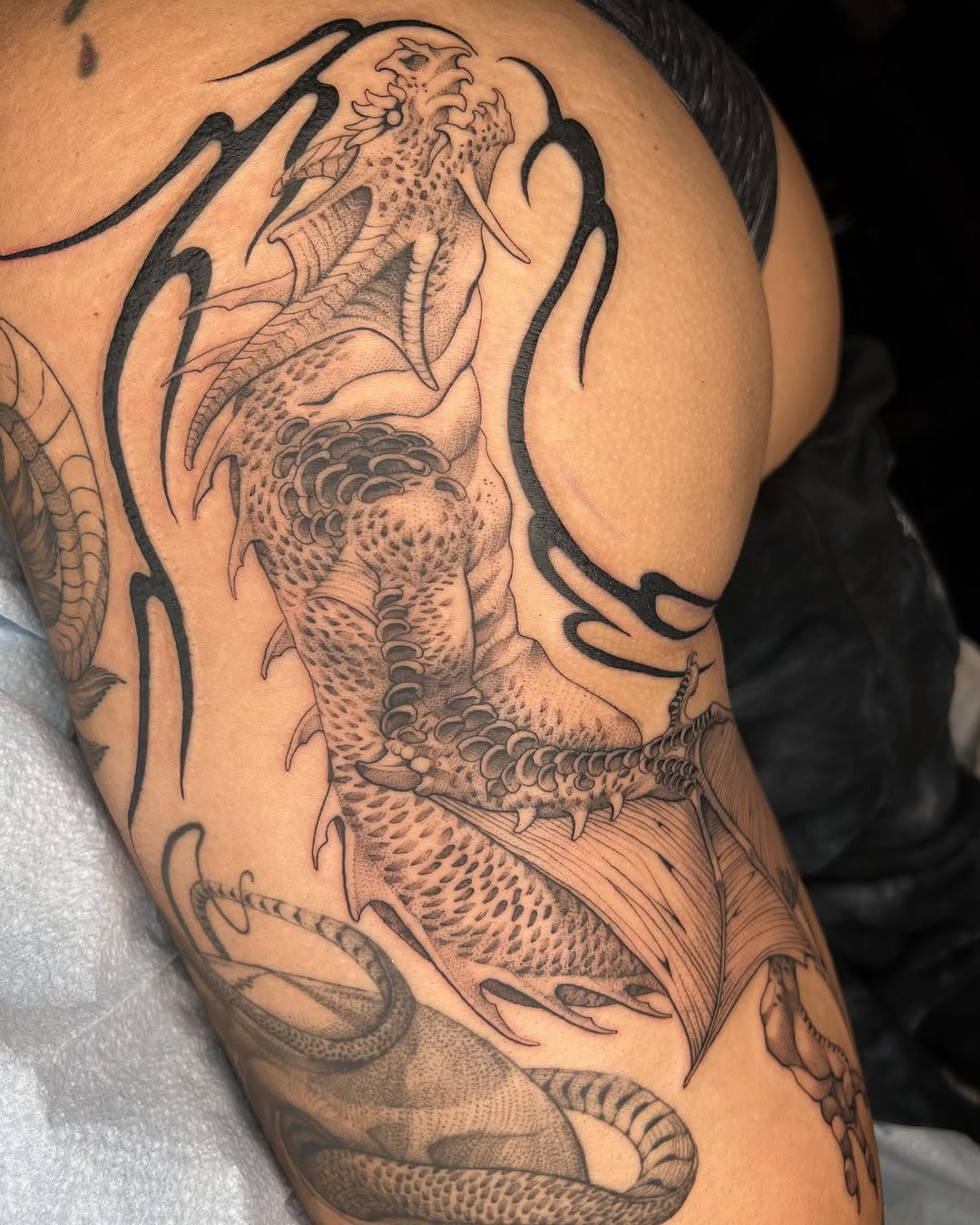 Dragon