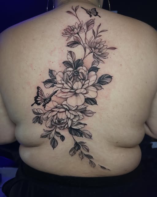 Flower, Rose, Nature