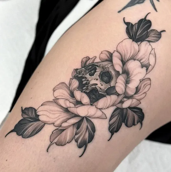 Flower, Rose