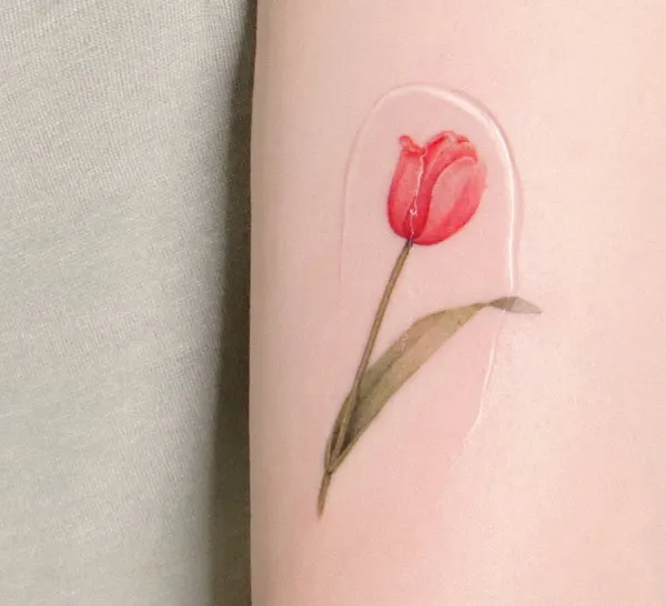 Flower, 양귀비, Rose