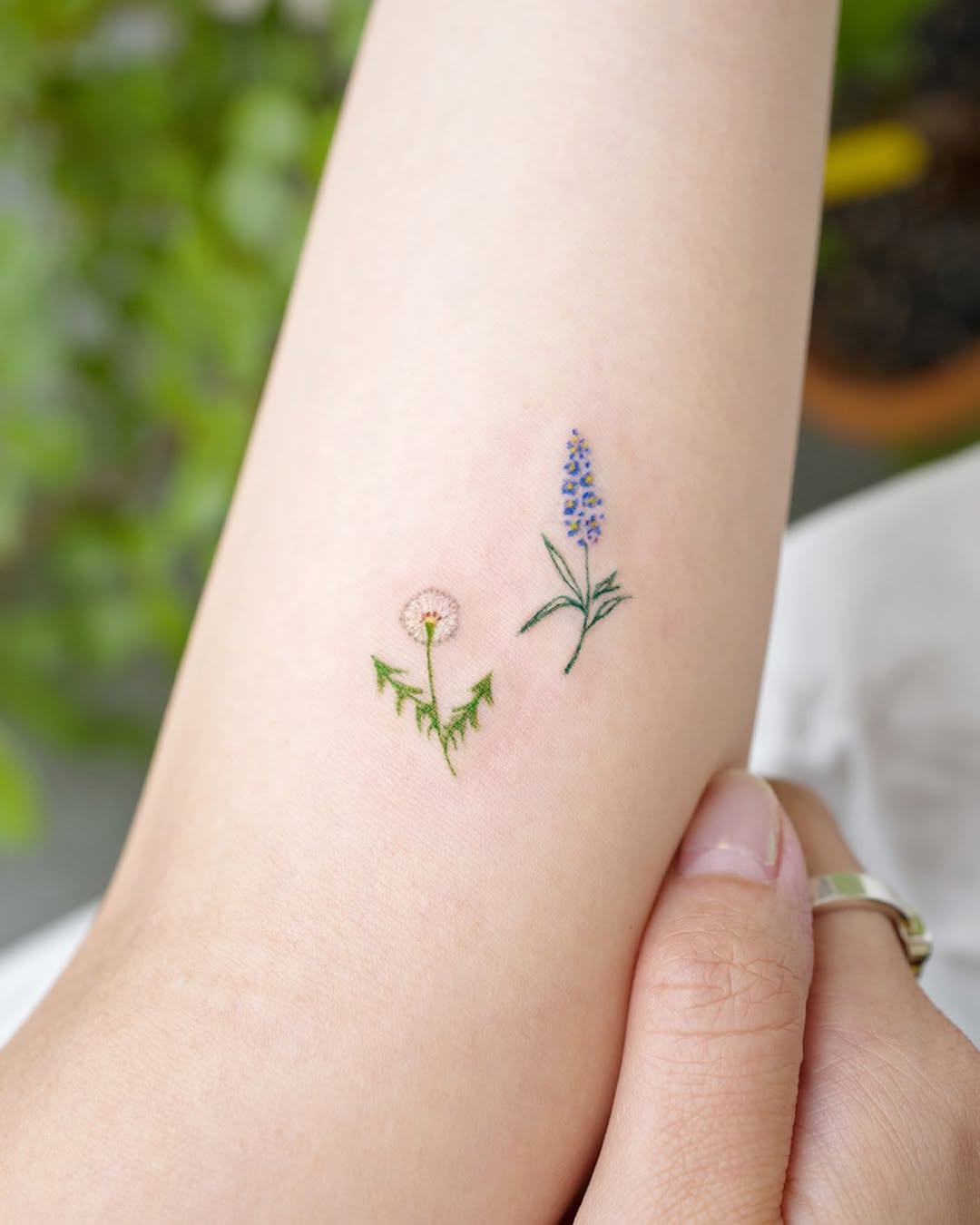 Flower