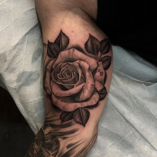 Rose, Flower