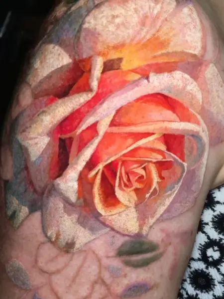 Flower, Rose