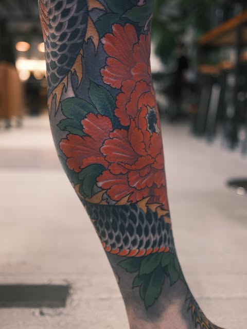 Dragon