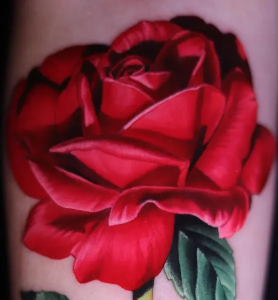 Flower, Rose