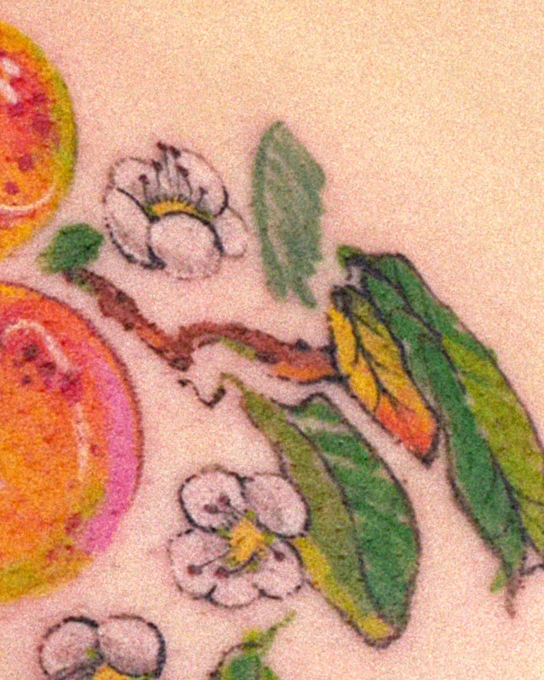 dareumtattoo