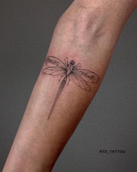 Animal, Nature, 잠자리