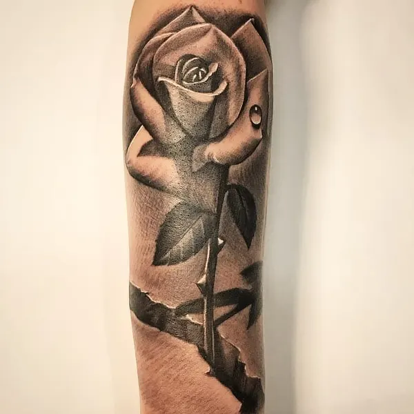 Flower, Rose