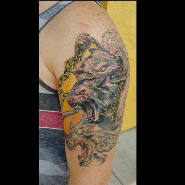 Tiger, Animal