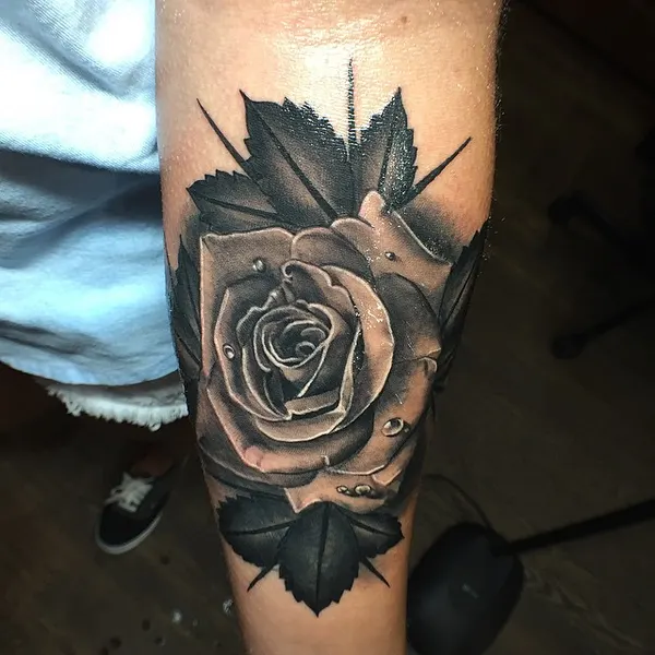 Flower, Rose