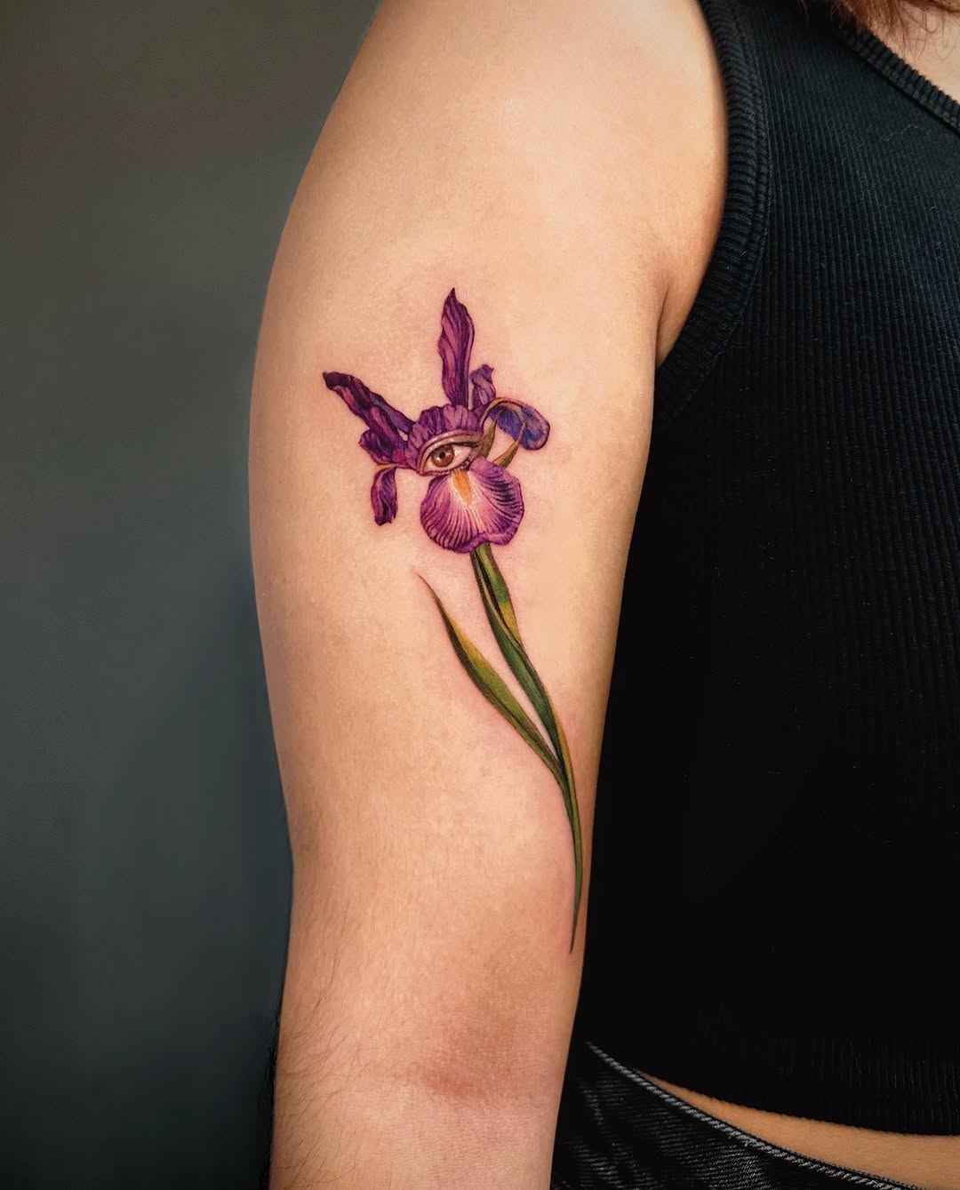 아이리스, 백합, 난초, 튤립, Flower