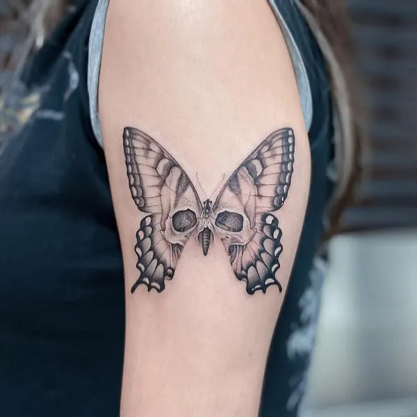 Animal, Nature