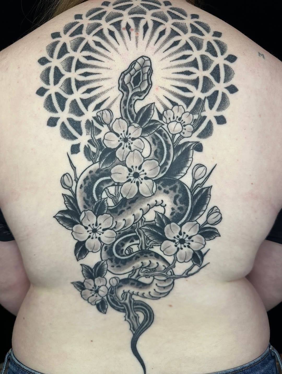 shawn_hebrank