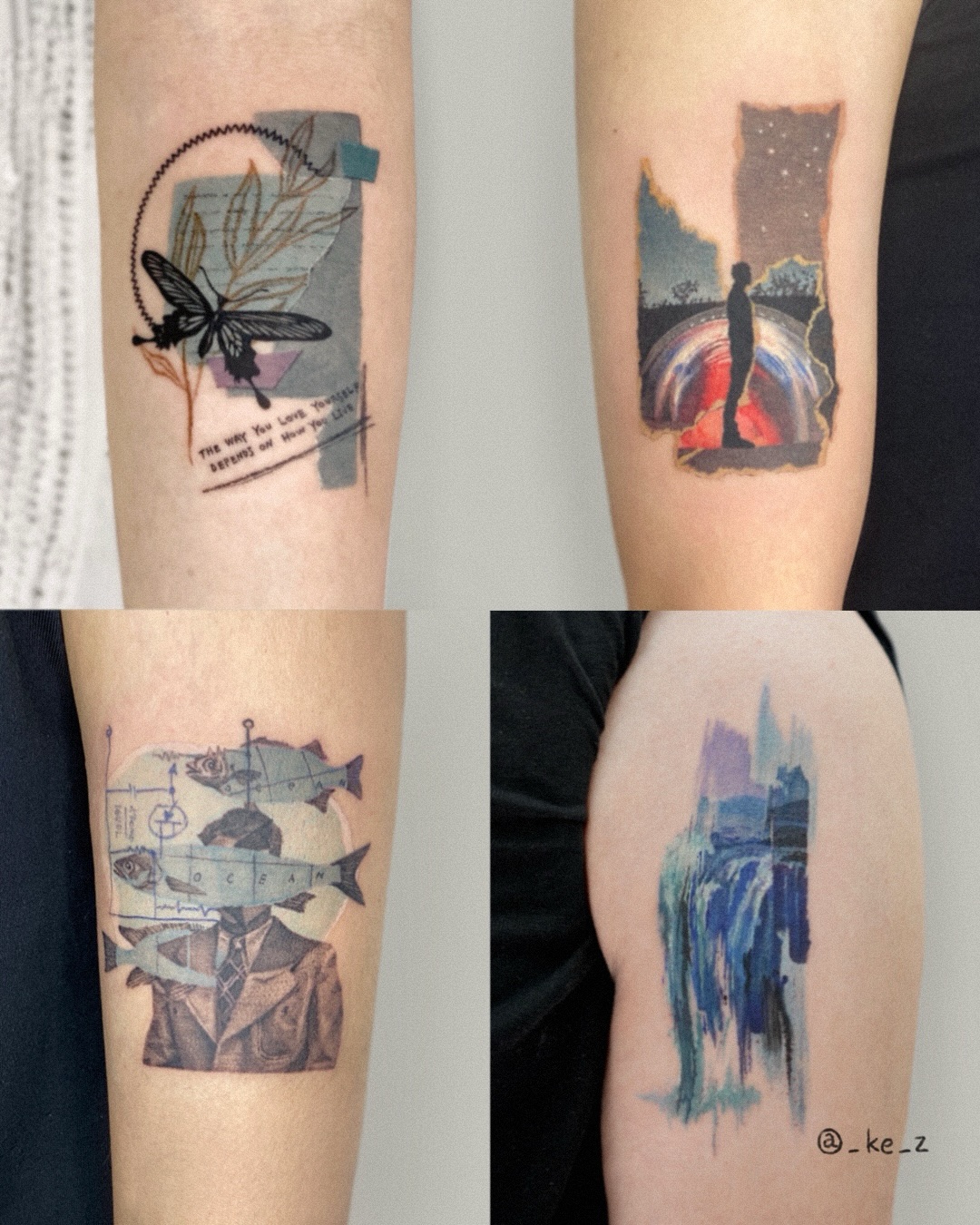 Animal, Nature, 잠자리, 매미