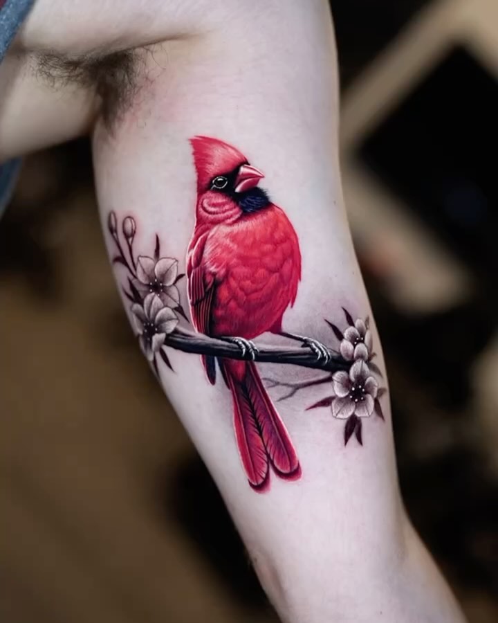 Flower, Animal, Nature