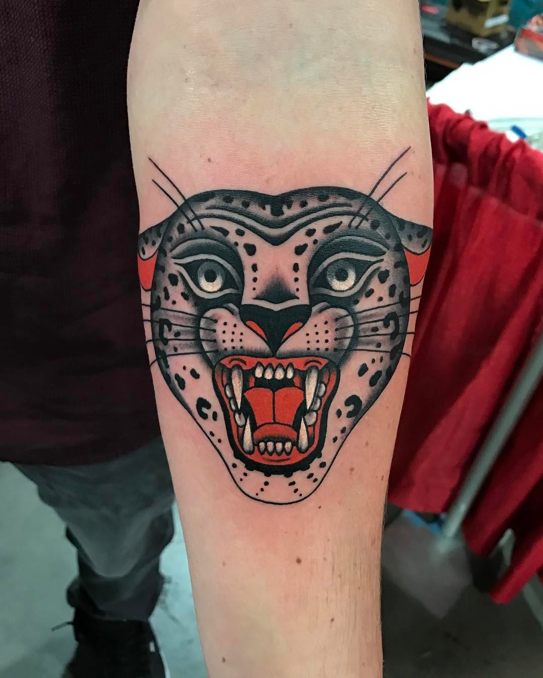 Tiger, Animal