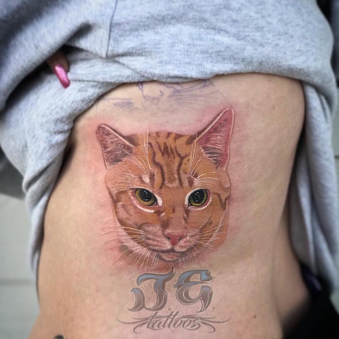 Animal