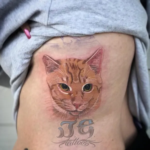 Animal