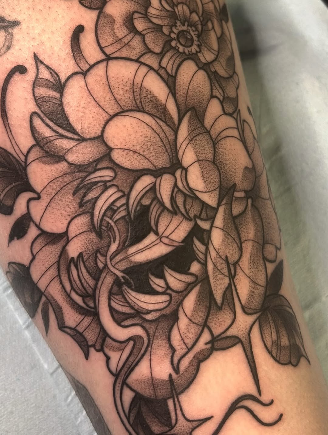 sarastigmata