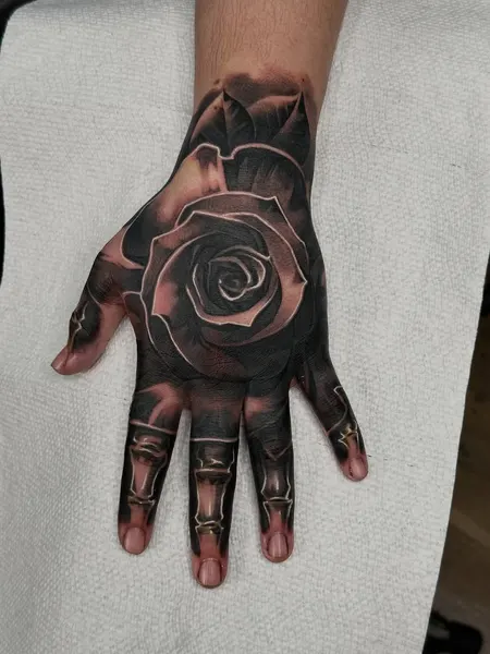 Flower, Rose