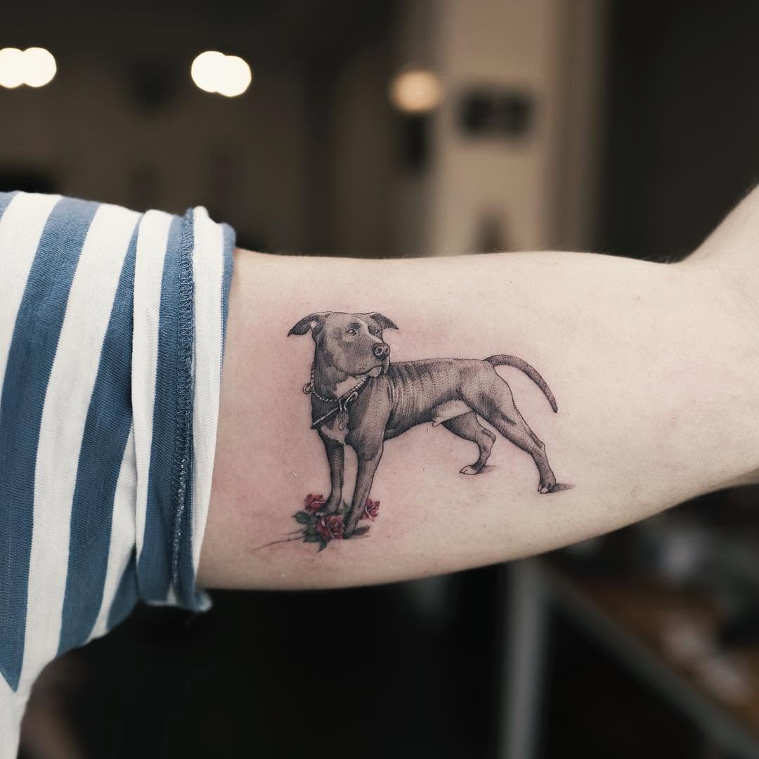soltattoo