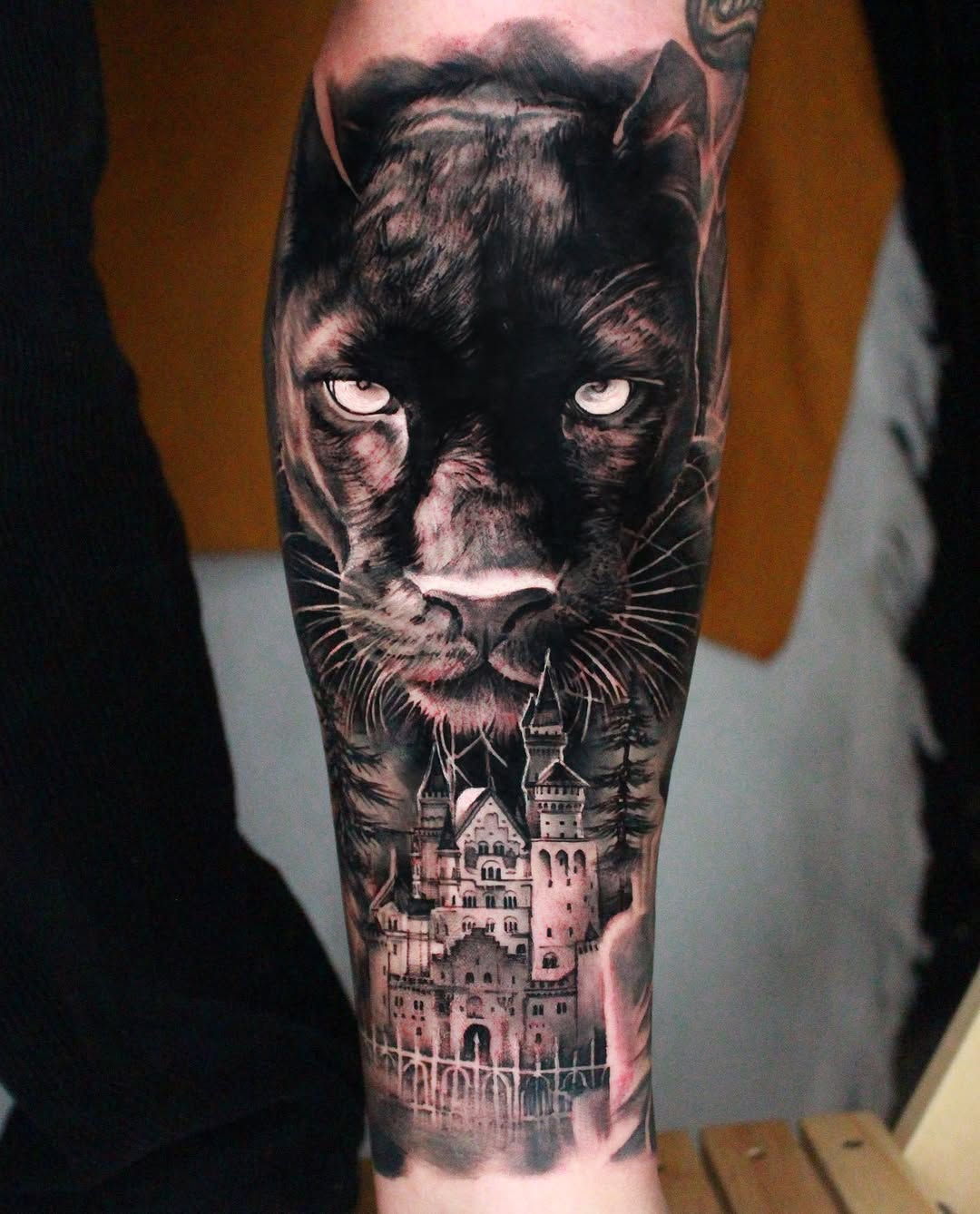 Animal