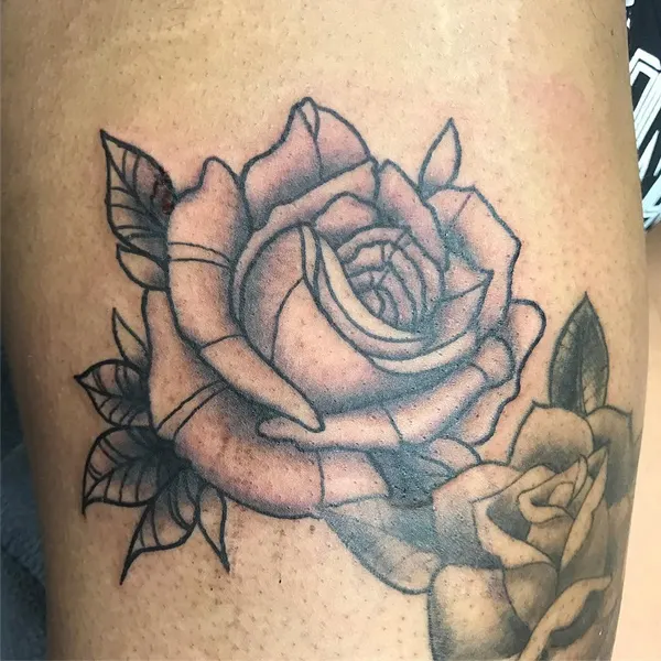 Flower, Rose