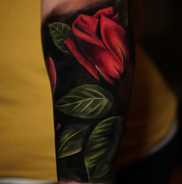 Flower, Rose
