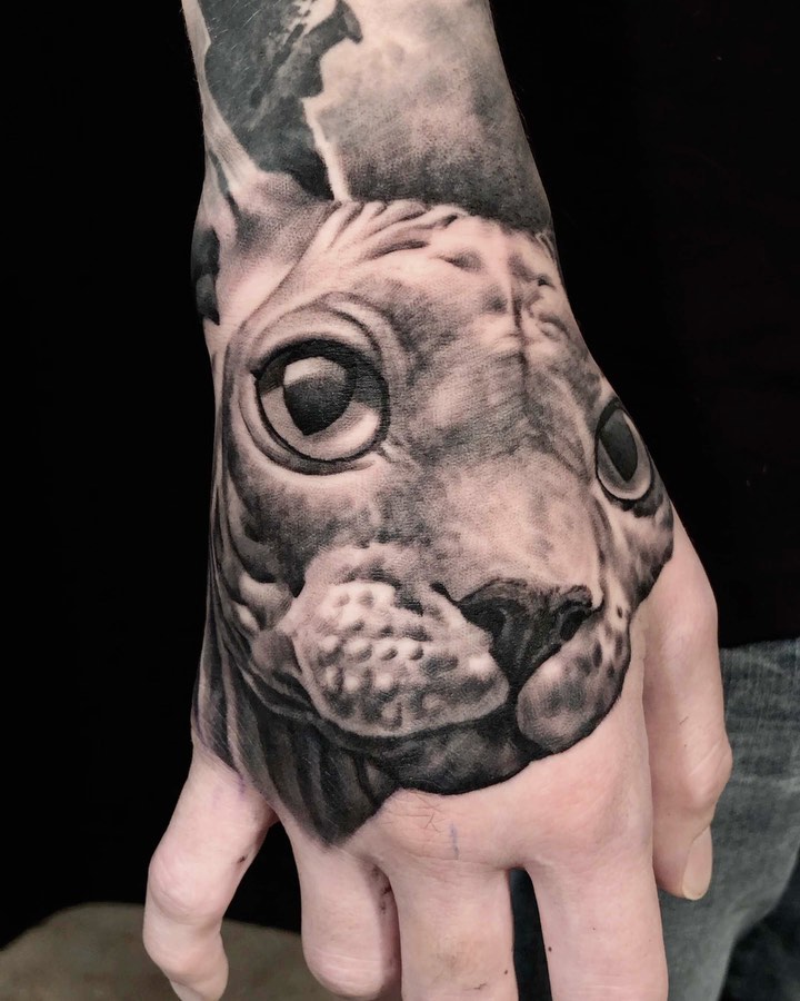 Animal