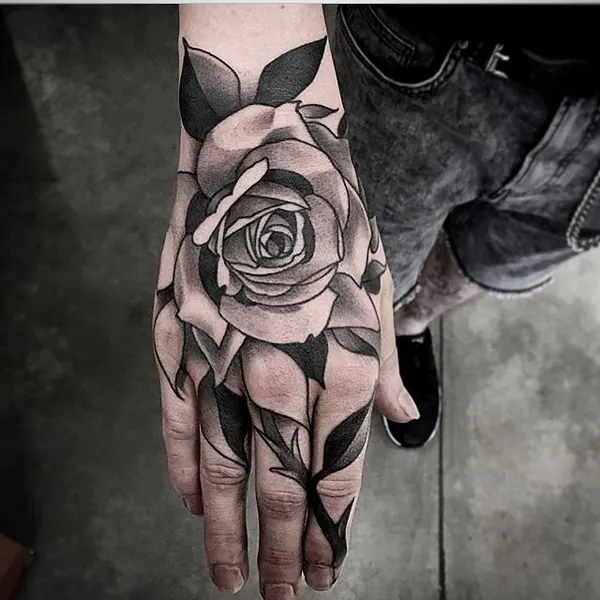 Flower, Rose