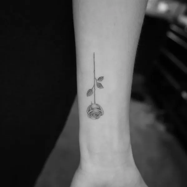 Flower, Rose