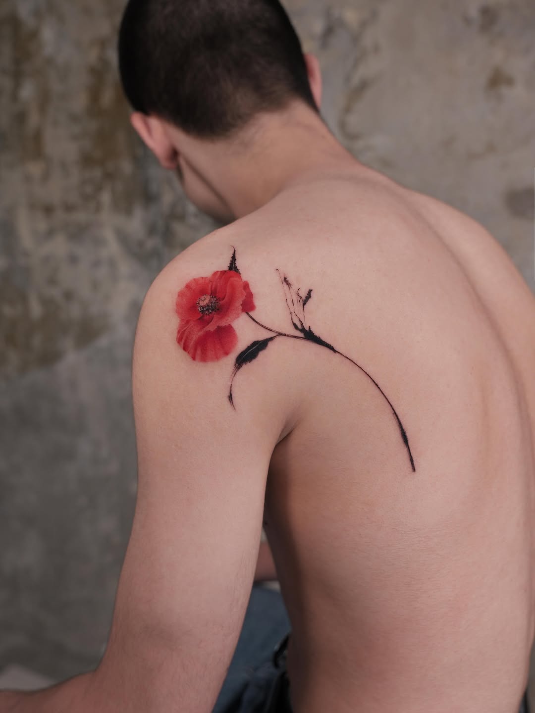Flower, Rose, Nature