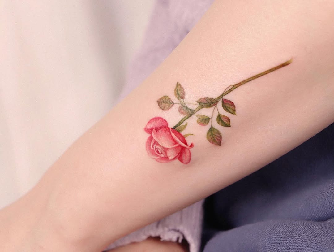 Flower, Rose