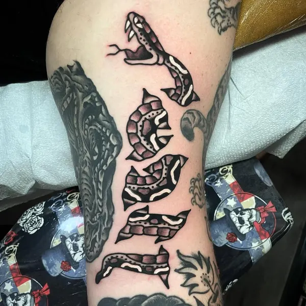 Tiger, Dragon