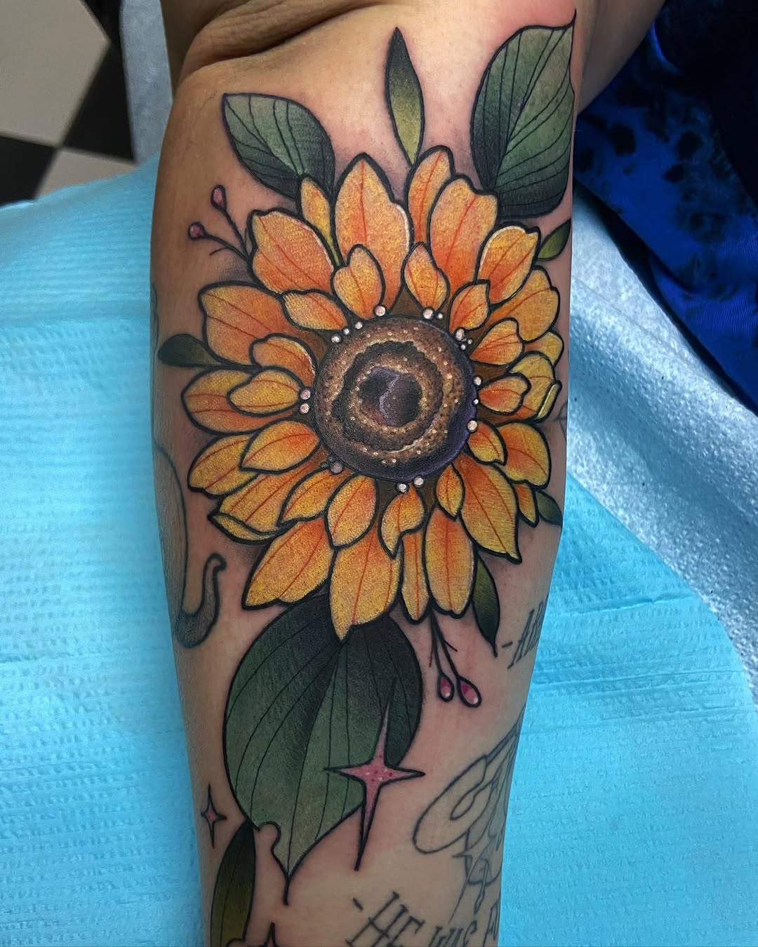 sarastigmata