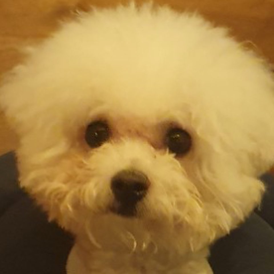 sisi.lovelove