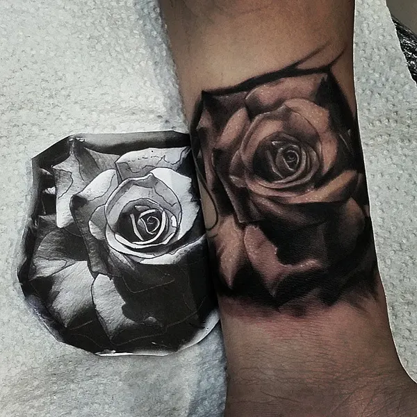 Flower, Rose