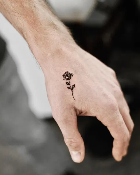 Flower, Rose