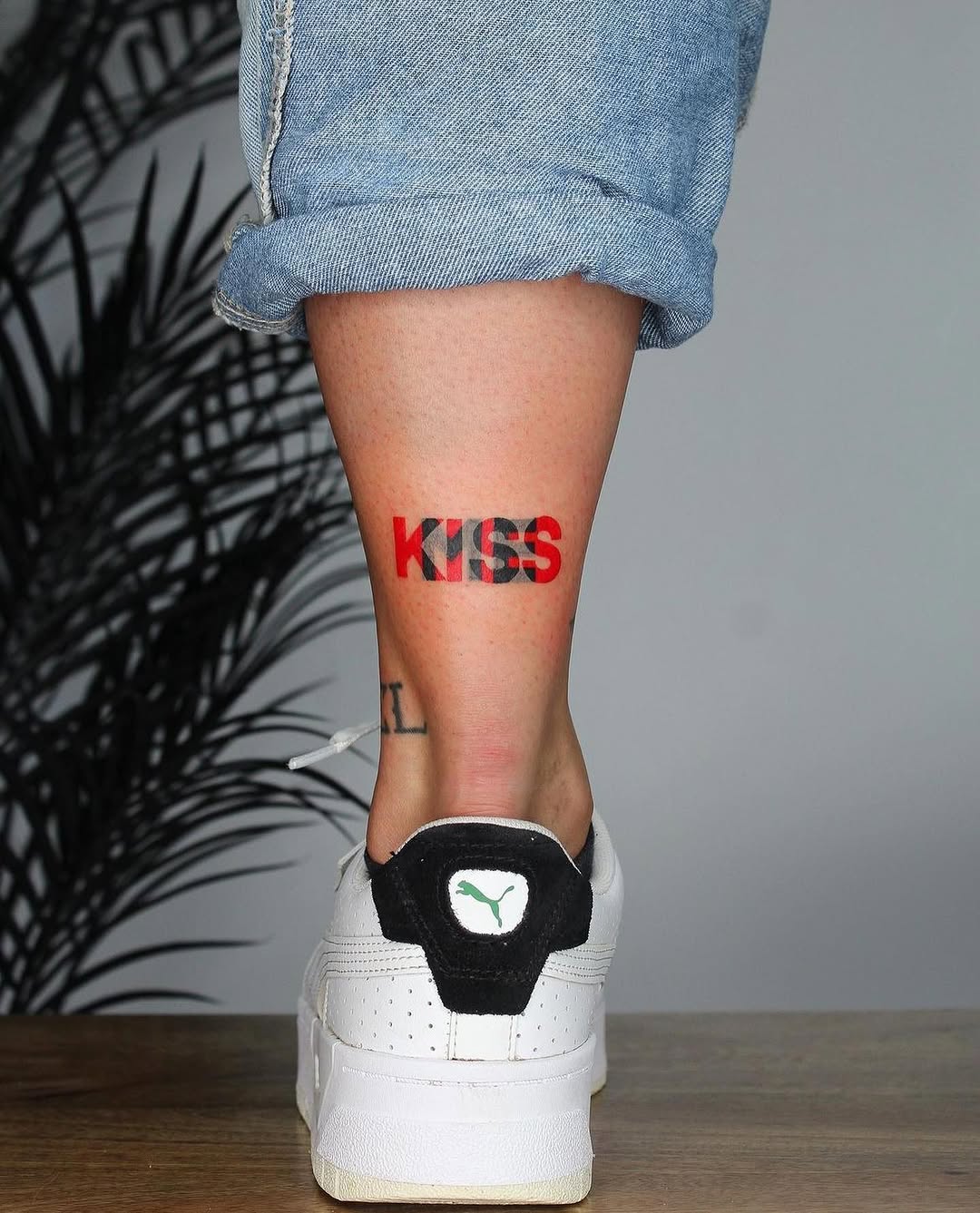 equilattera