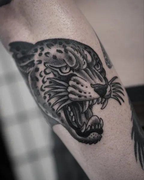 Tiger, Animal