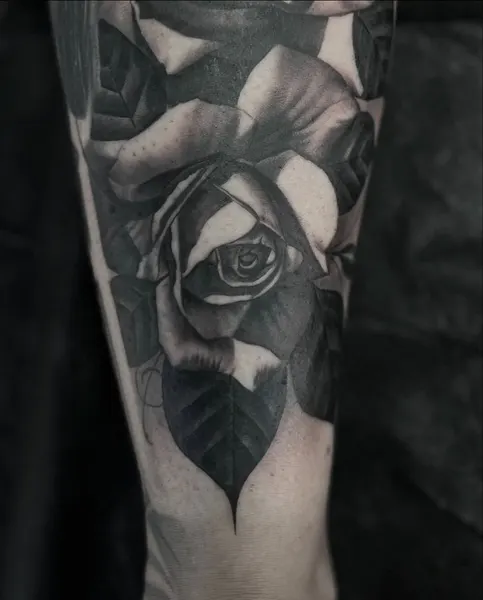 Flower, Rose