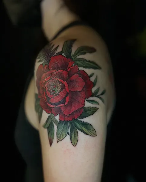 Flower, Rose, Nature