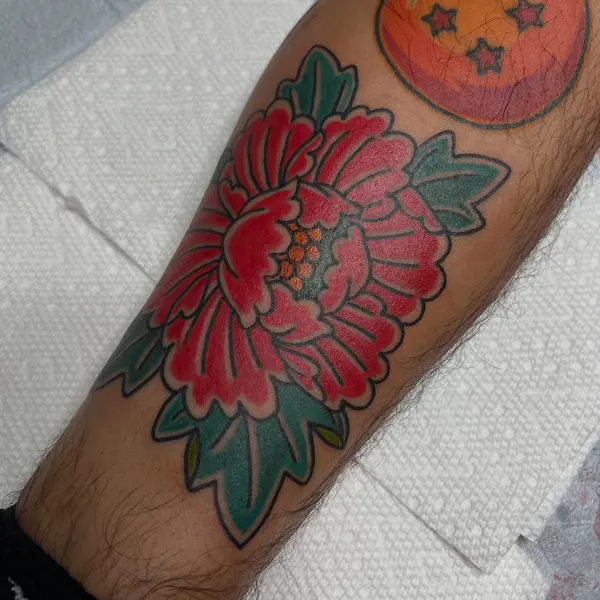 Flower, Rose
